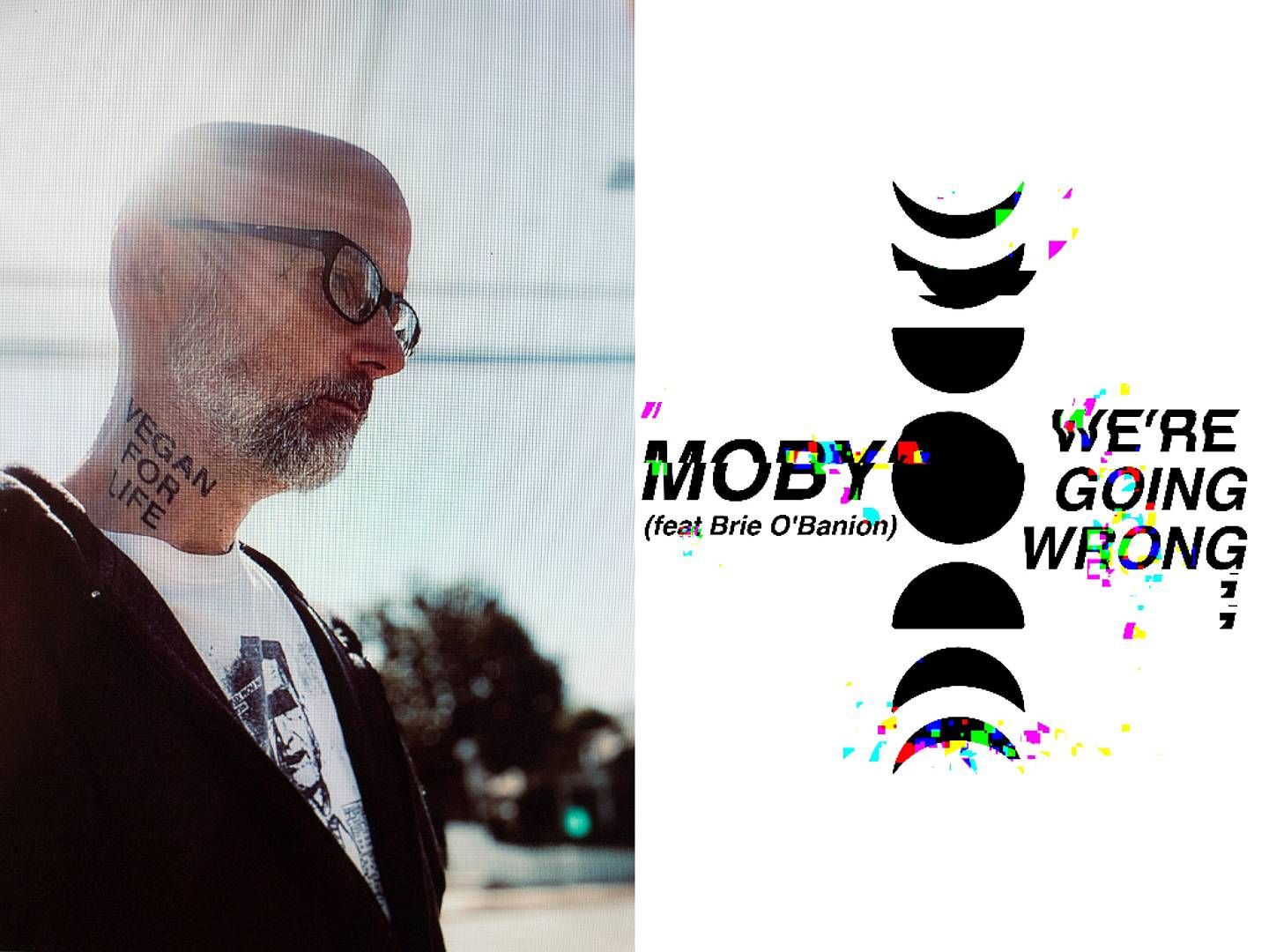 2023-10-26---moby-we-re-going-wrong-jpeg-imagine-f8f8f8_b6b4b5_1024_768