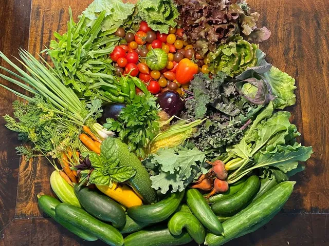 Gemüse aus bio-veganem Anbau von EngelsBlume. Bild: Katja privat