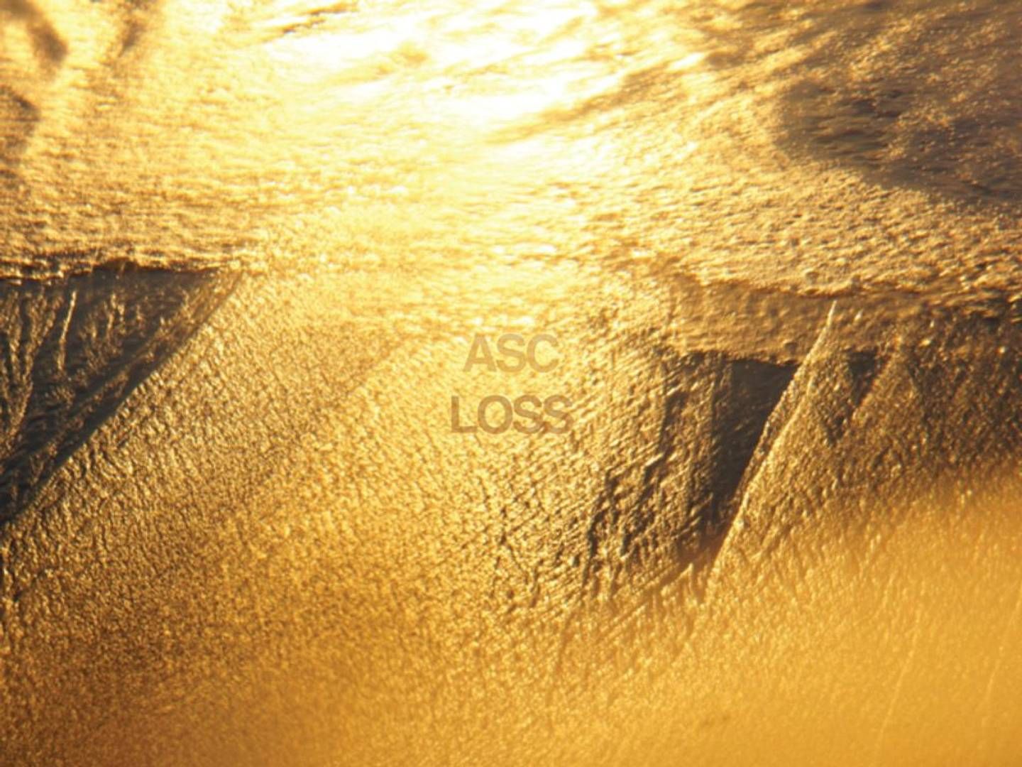 2024-02-27---asc-loss-jpg-imagine-e8a838_c8a056_1024_768