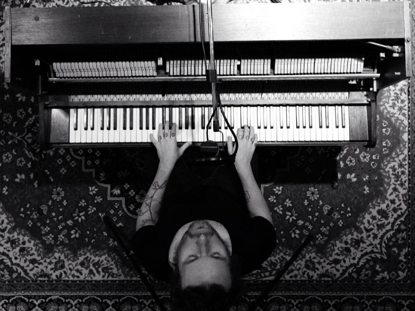 2024-05-10---thot-soundsvegan-com-3-jpg-imagine-080808_474748_1024_768