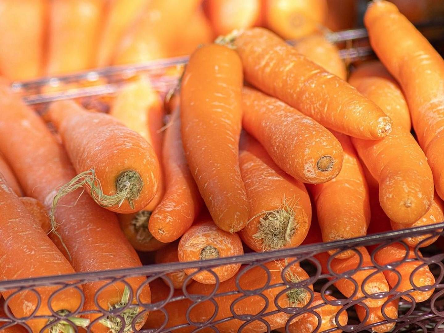 2024-07-05---babymoehren-studie-soundsvegan-com-jpg-imagine-f89838_cc7744_1024_768