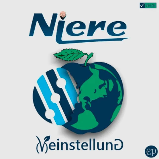 Niere – "Veinstellung"