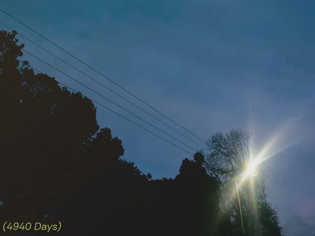 Bild/Picture: © Adam Kluga