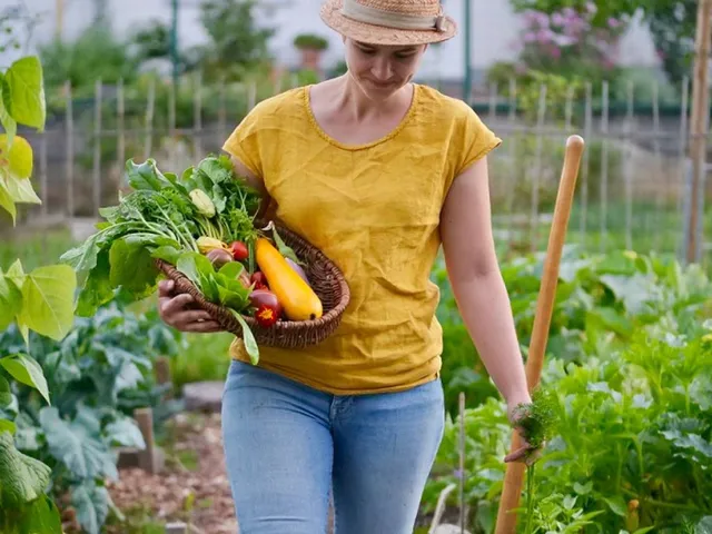 Meine Ernte: Jetzt Garten für die Gemüsesaison sichern!