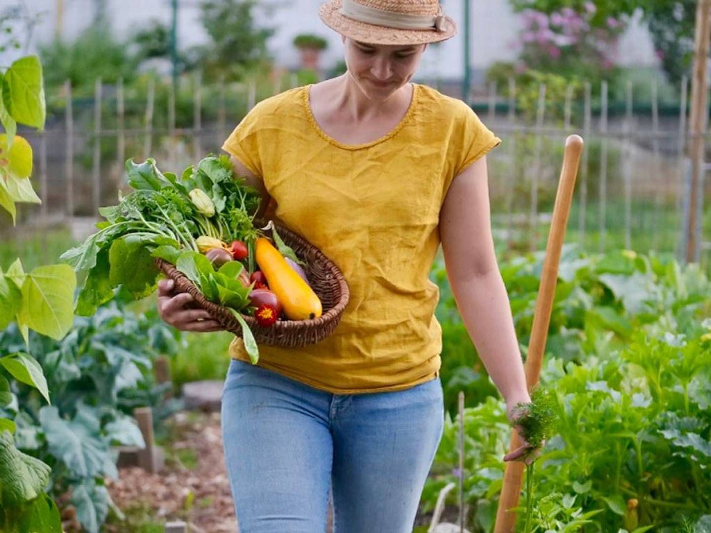 2025-10-16---meine-ernte-buchungsstart-soundsvegan-com-jpg-imagine-d8a848_80855a_1024_768