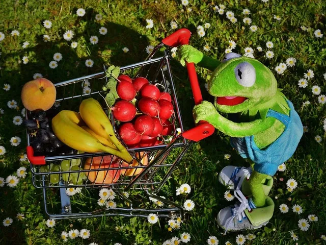 Vegan einkaufen lohnt sich jetzt richtig!