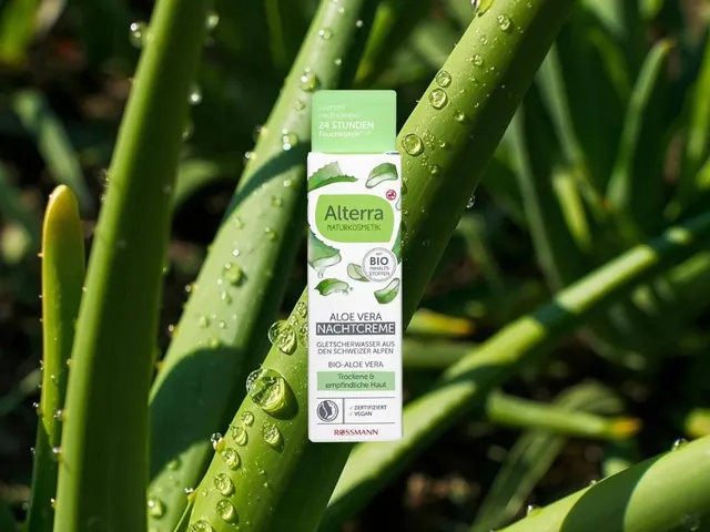 Alterra Nachtcreme Bio-Aloe Vera & Gletscherwasser