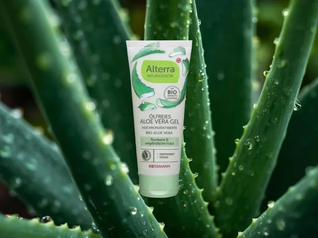 Ölfreies Aloe Vera Gel von Alterra NATURKOSMETIK