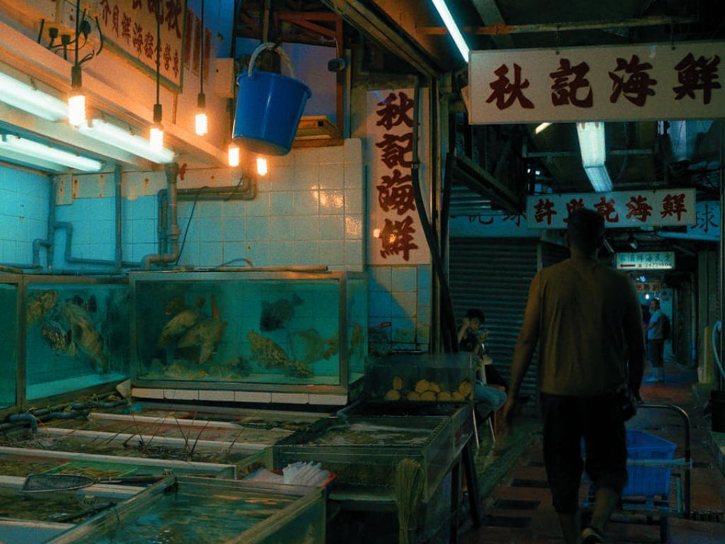 "Milliarden Dollar Babies – Große Gewinne mit kleinen Aalen"