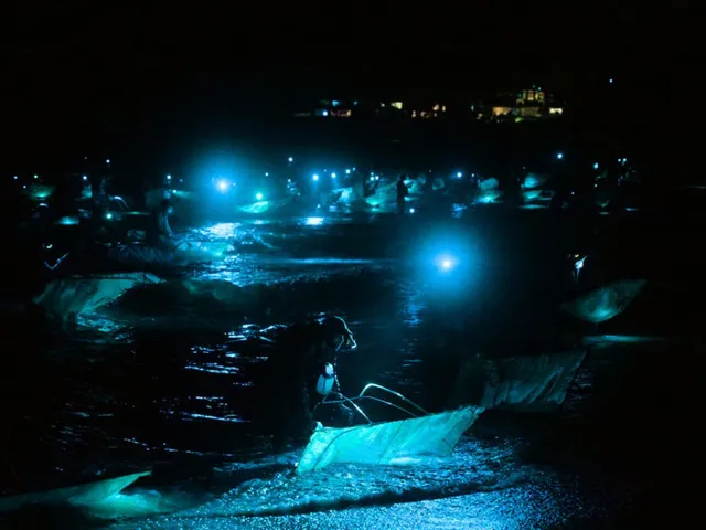 Filmszene: "Milliarden Dollar Babies – Große Gewinne mit kleinen Aalen". Bild/Picture: © DOCDAYS / ZDF/ARTE / ZDFkultur / BBC